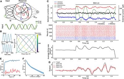Learning Long <mark class="highlighted">Temporal Sequences</mark> in Spiking Networks by Multiplexing Neural Oscillations